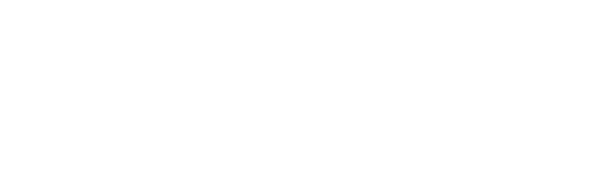 sanjai tex logo